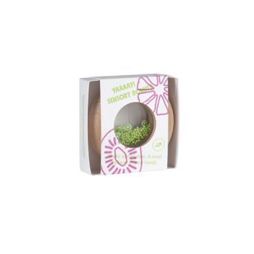 SENSORY DONUT KIWIS