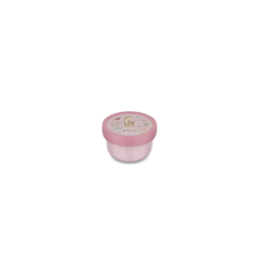 CAJA FRUTA CAMPUS FAIRY GARDEN