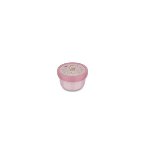 CAJA FRUTA CAMPUS FAIRY GARDEN