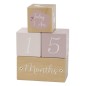 BLOQUES DE HITOS ROSA LABEL-LABEL