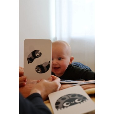 TARJETAS DE ALTO CONTRASTE PARA BEBÉS