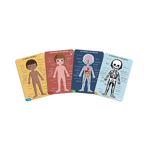 PUZZLE EDUCATIVO EL CUERPO HUMANO