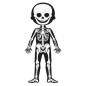 PUZZLE EDUCATIVO EL CUERPO HUMANO