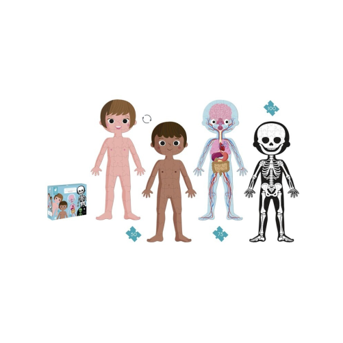 PUZZLE EDUCATIVO EL CUERPO HUMANO